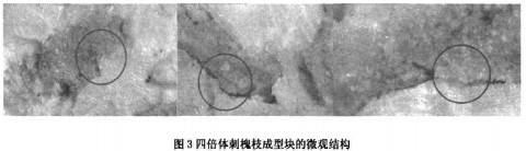 顆粒機(jī)秸稈壓塊機(jī) 顆粒機(jī)秸稈壓塊機(jī)